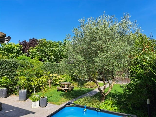 Foto 32 van Graafschap 18