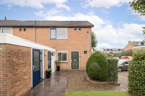 undefined main image