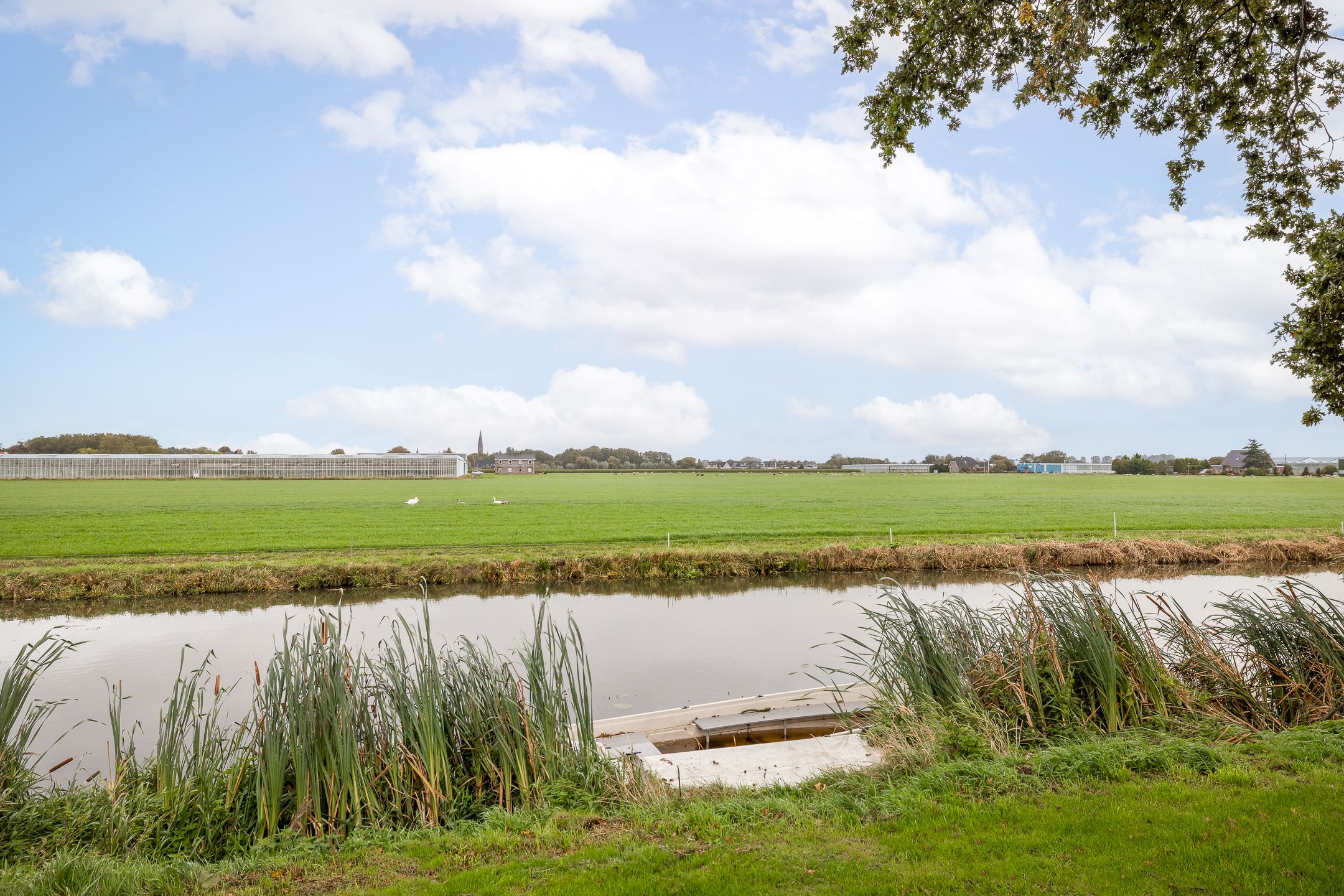 Foto 36 van Lobeliastraat 13