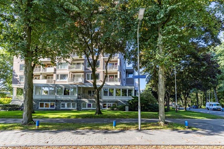 Foto 8 van Helper Brink 61-161