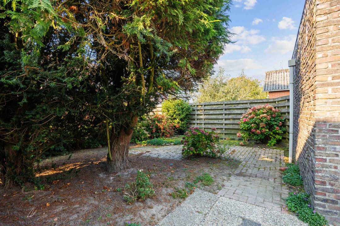 Foto 7 van Tuinbouwweg 3