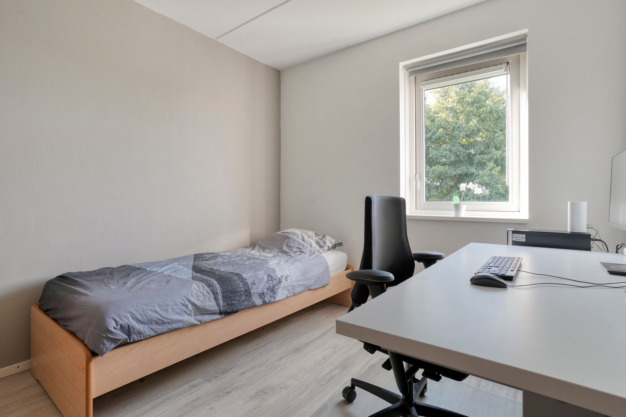 Photo 15 of Slootland 31