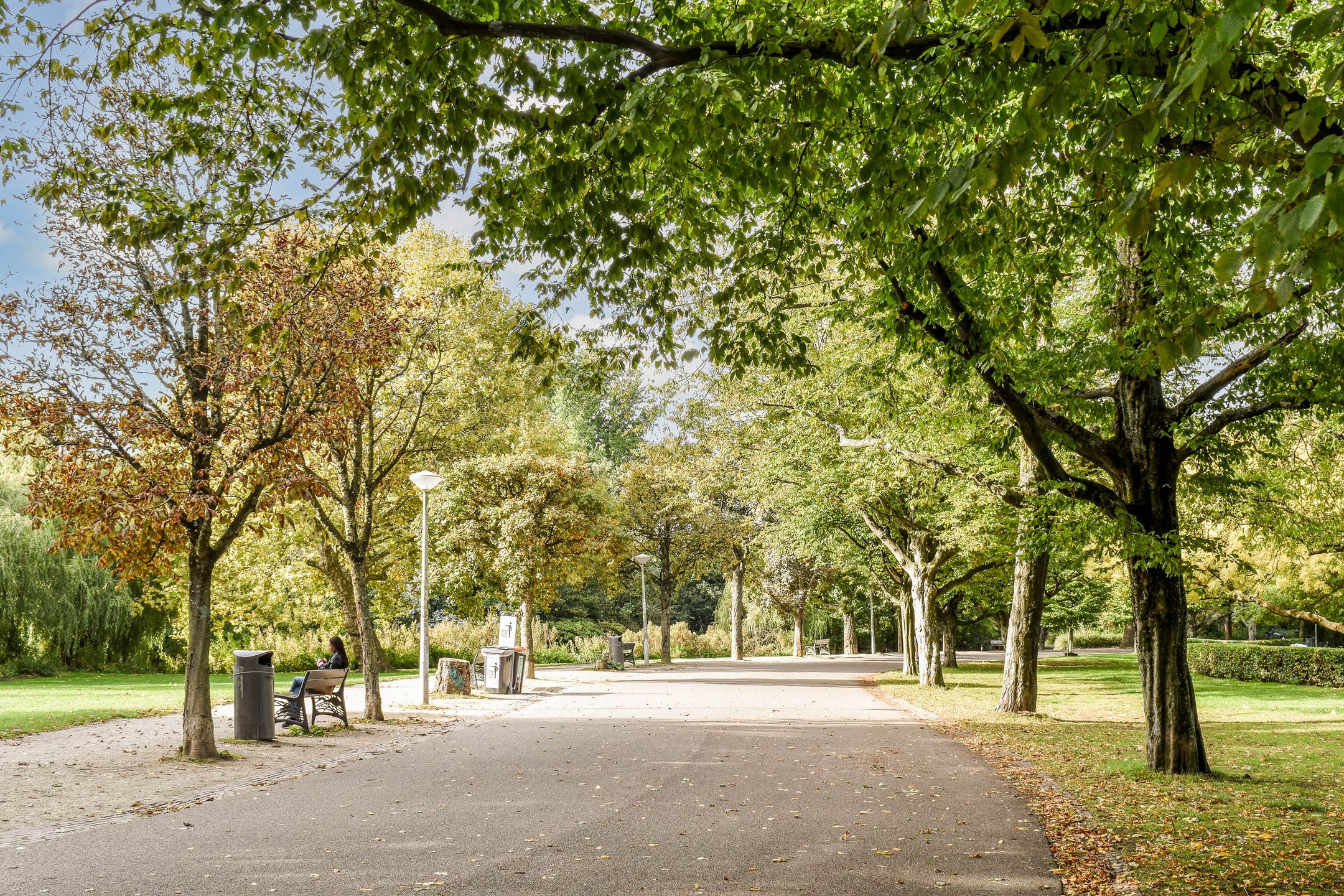 Foto 36 van Wilhelminastraat 113-3