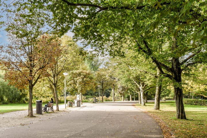 Foto 36 van Wilhelminastraat 113-3