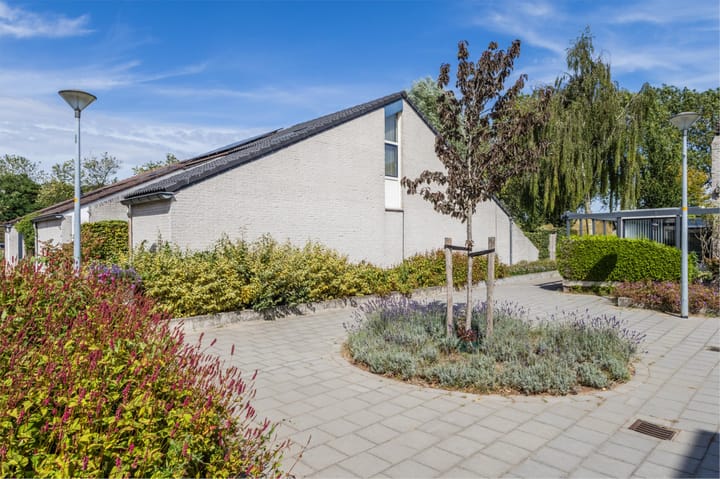 Foto 1 van Paalgrens 20