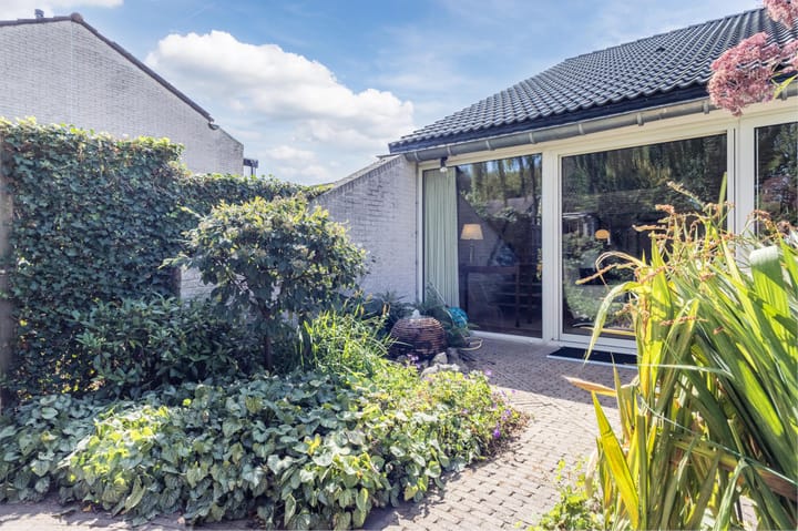 Foto 31 van Paalgrens 20