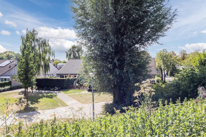 Foto 33 van Paalgrens 20