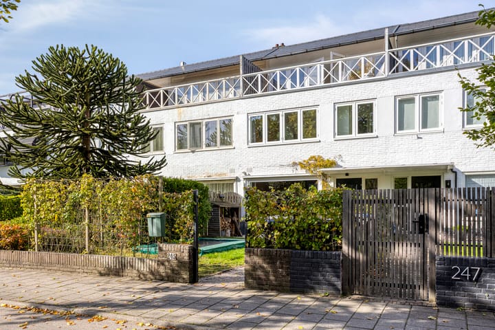 Photo 2 of Ceintuurbaan 245