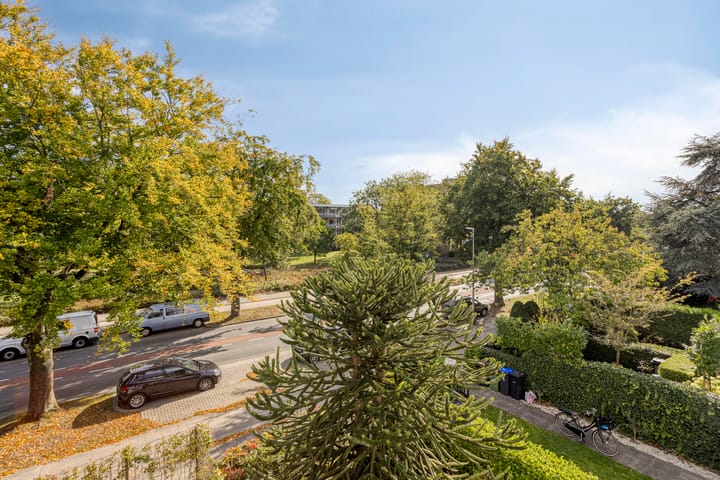 Photo 45 of Ceintuurbaan 245