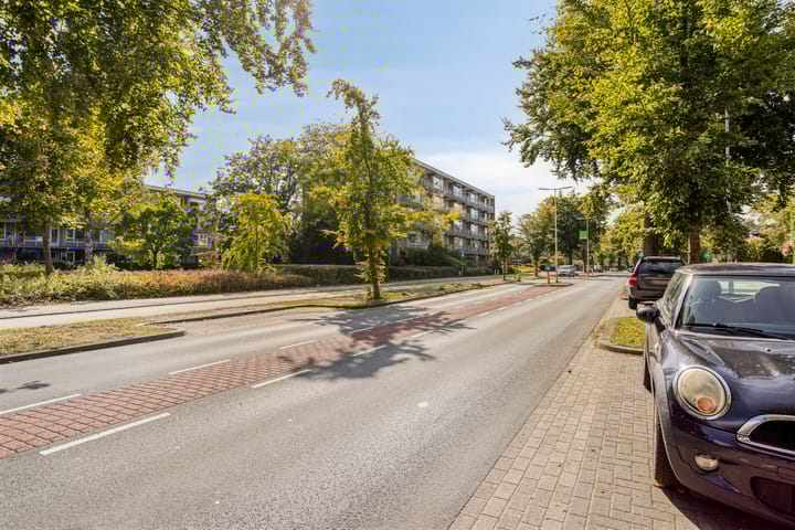 Photo 48 of Ceintuurbaan 245