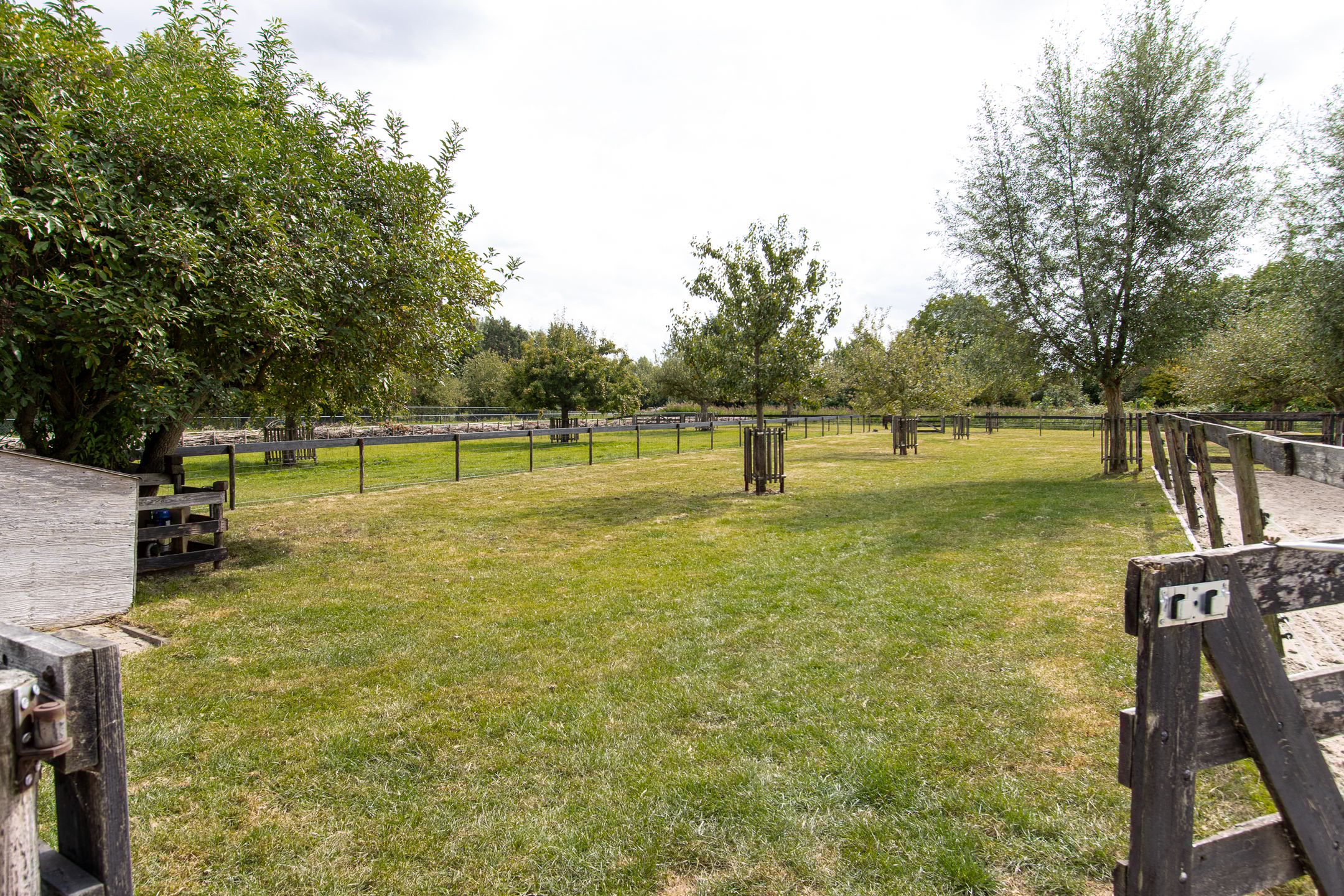 Foto 36 van Gansoyen 49