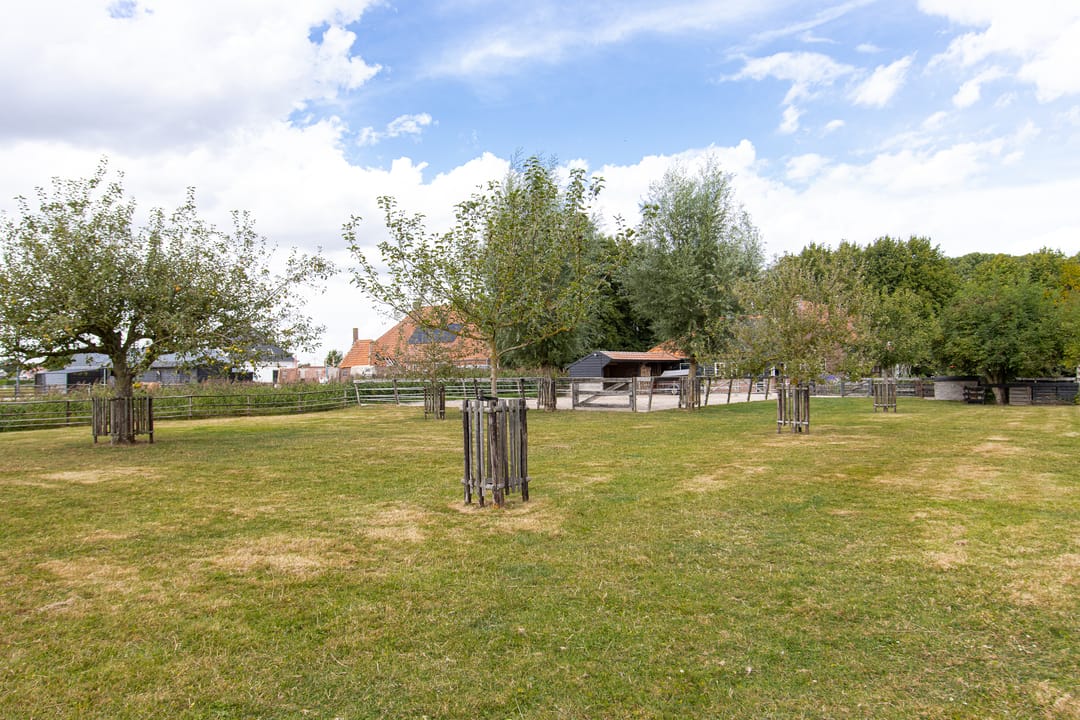 Foto 37 van Gansoyen 49