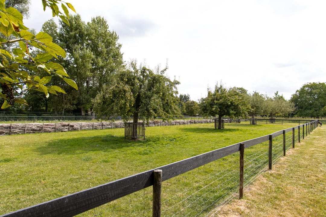 Foto 38 van Gansoyen 49