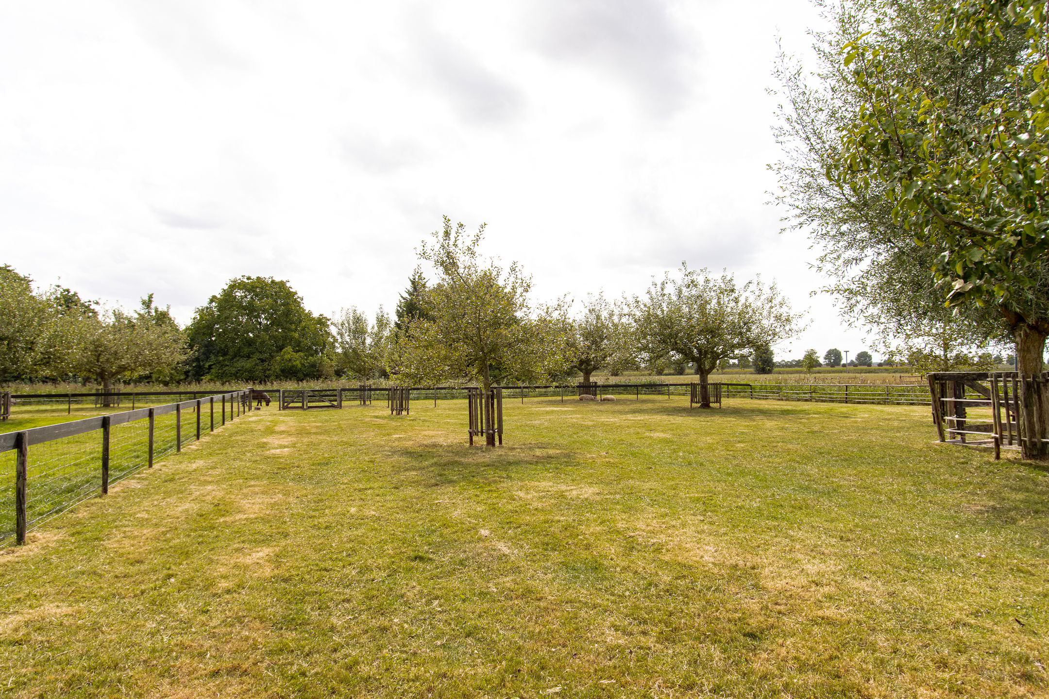 Foto 39 van Gansoyen 49