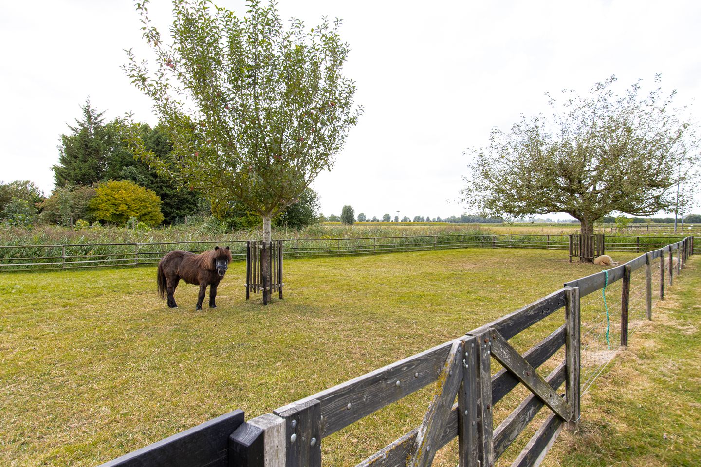 Foto 40 van Gansoyen 49