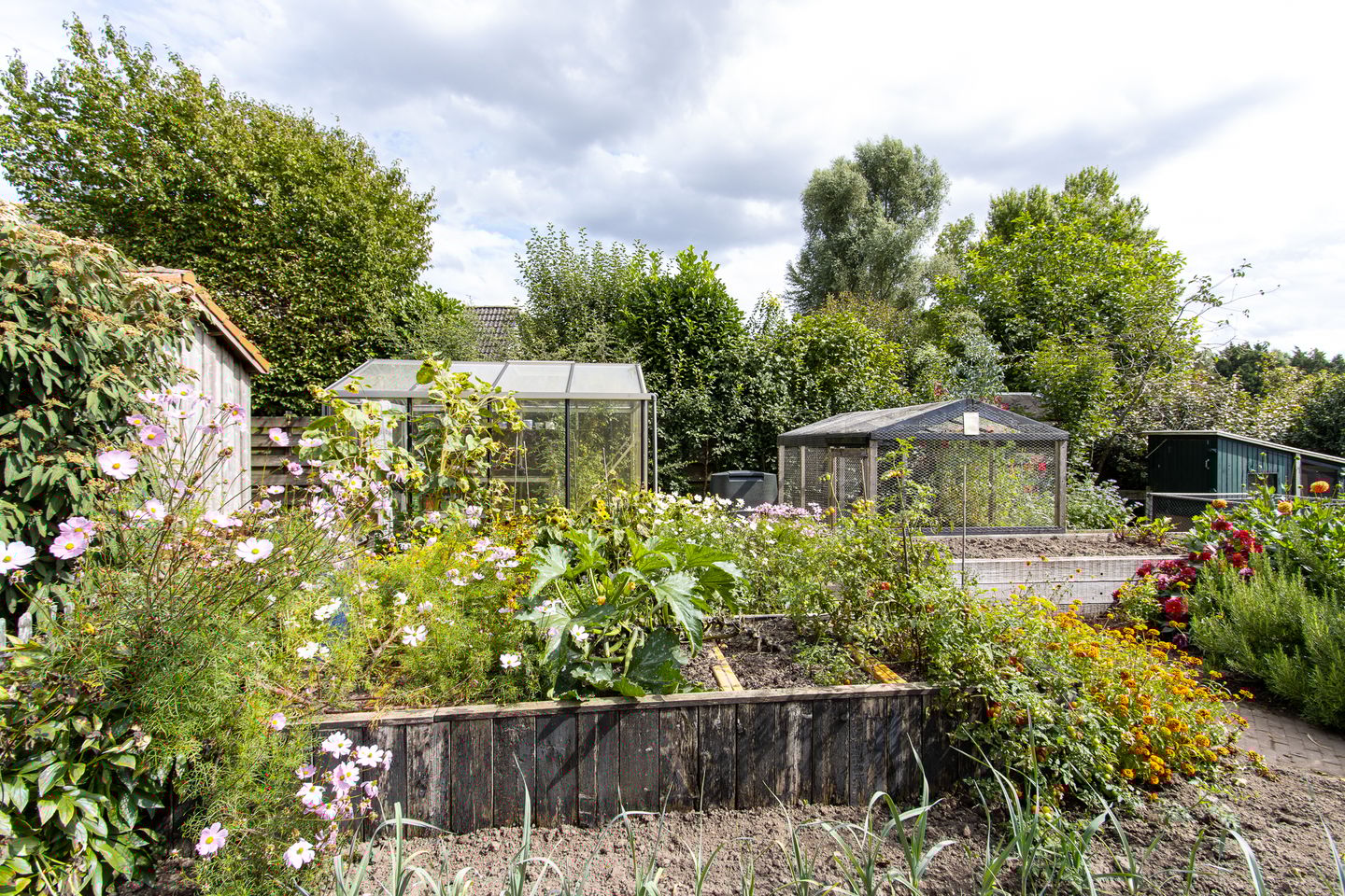 Foto 44 van Gansoyen 49