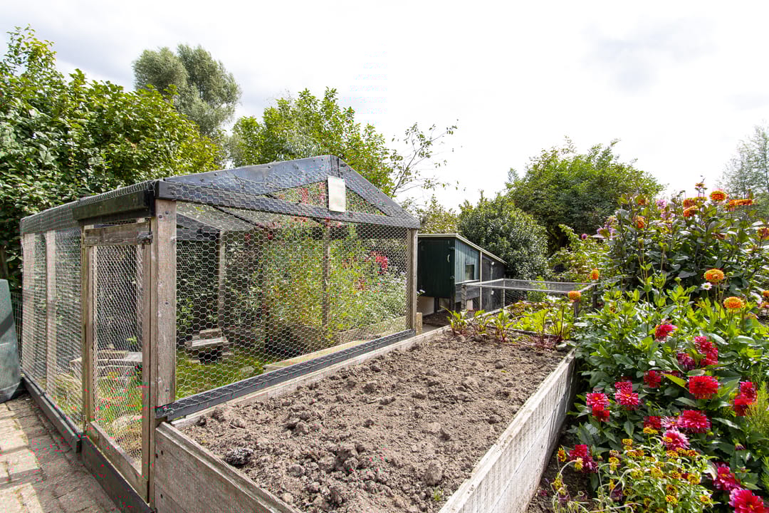 Foto 46 van Gansoyen 49