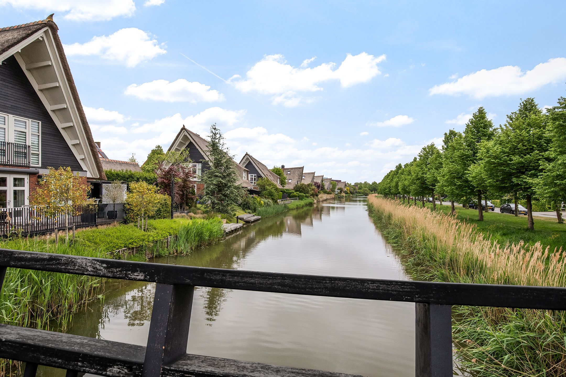 Photo 48 of Habanera 10