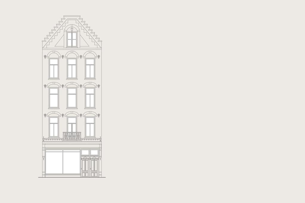 Foto 2 van Hemonystraat 48-H