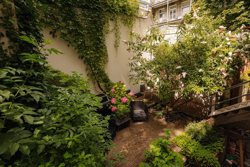 Foto 23 van Hemonystraat 48-H