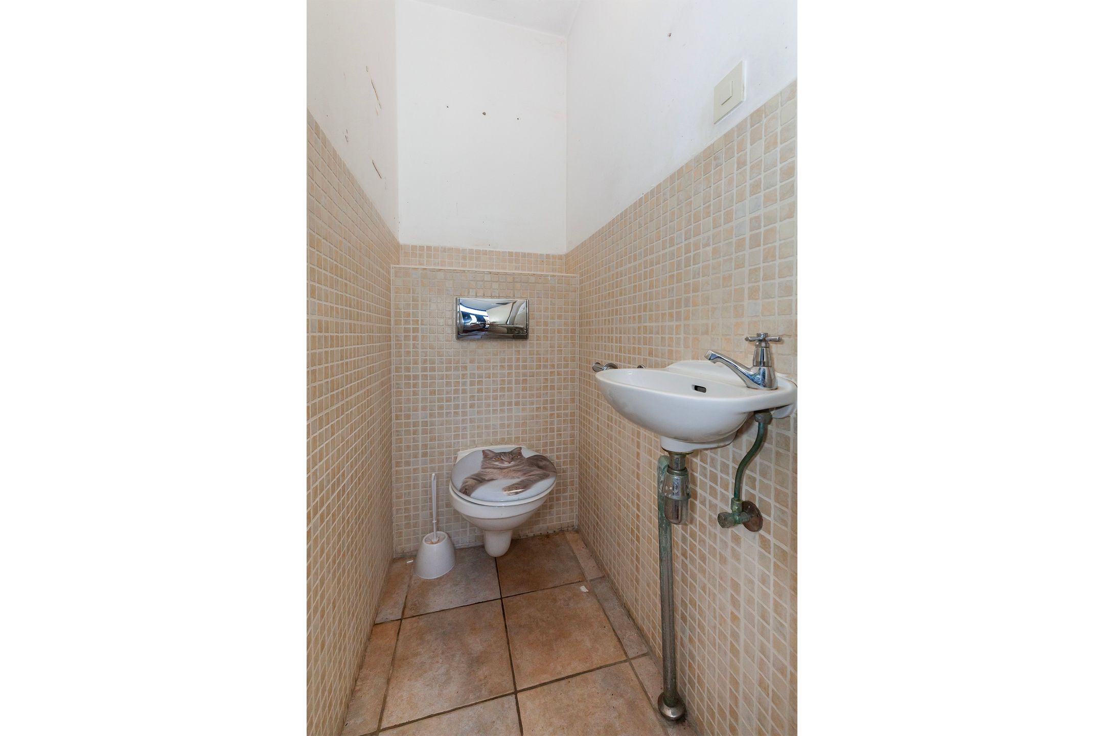 Photo 3 of Berkendreef 95