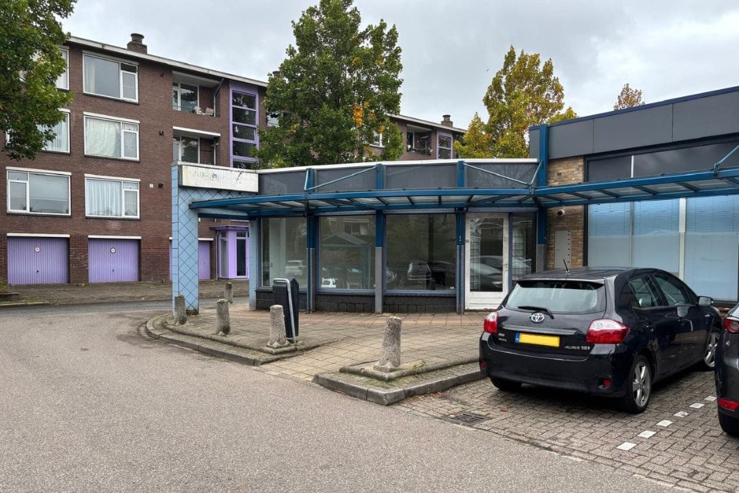 Bekijk foto 1 van Linnaeusweg 96