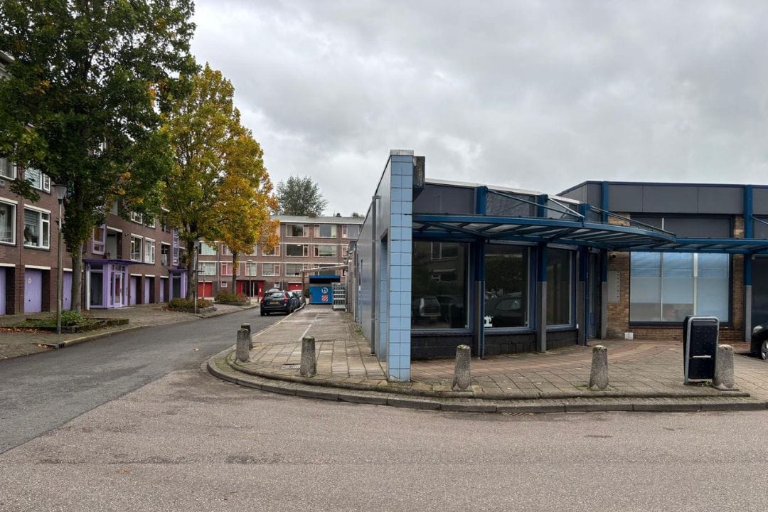 Bekijk foto 3 van Linnaeusweg 96