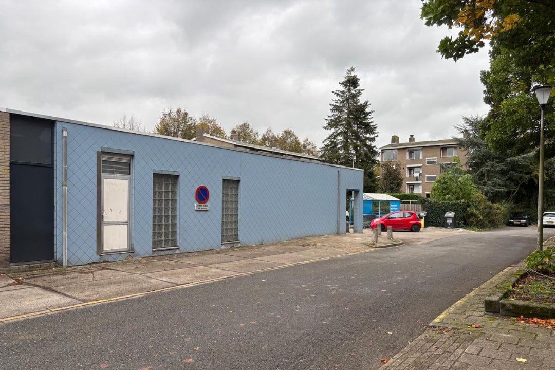 Bekijk foto 4 van Linnaeusweg 96