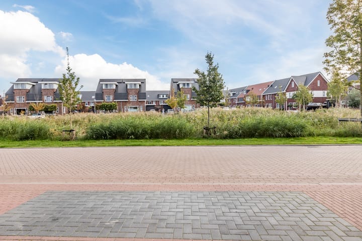 Foto 46 van Borgerlant 14