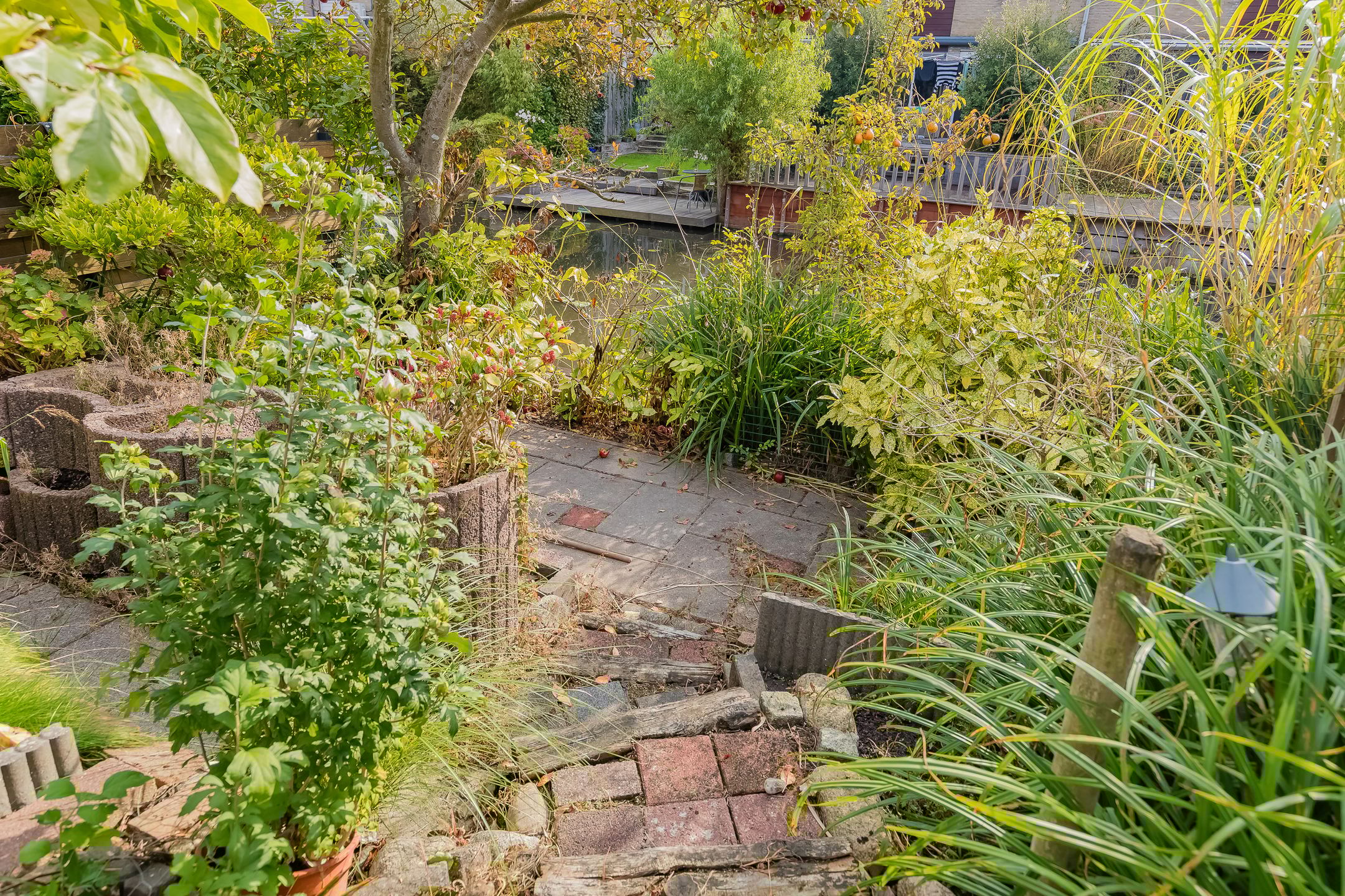 Foto 6 van Grote Boterbloem 65