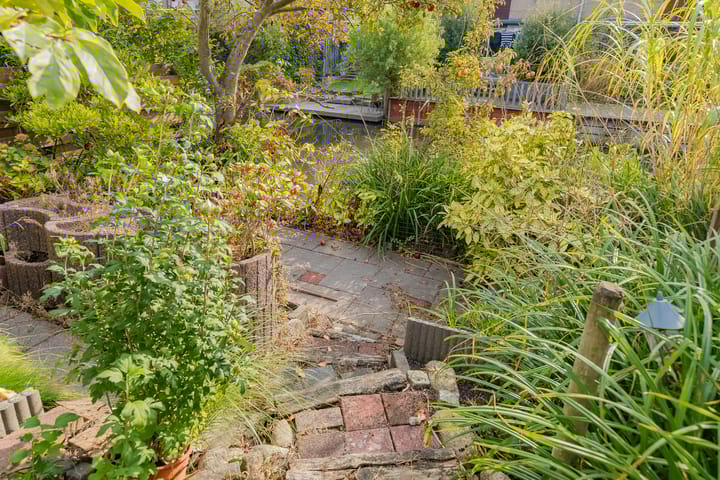 Foto 6 van Grote Boterbloem 65