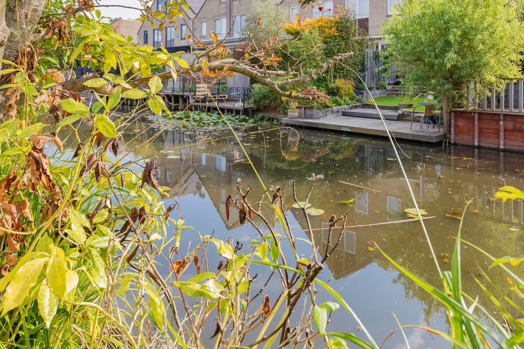 Foto 16 van Grote Boterbloem 65