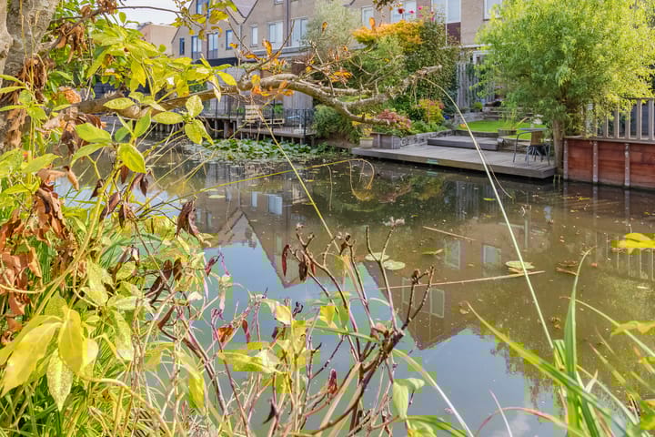 Foto 16 van Grote Boterbloem 65