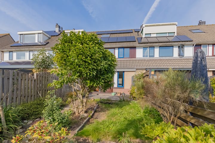 Foto 17 van Grote Boterbloem 65