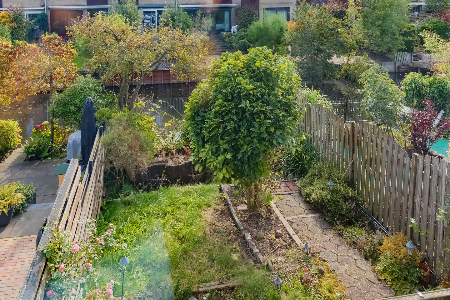 Foto 19 van Grote Boterbloem 65