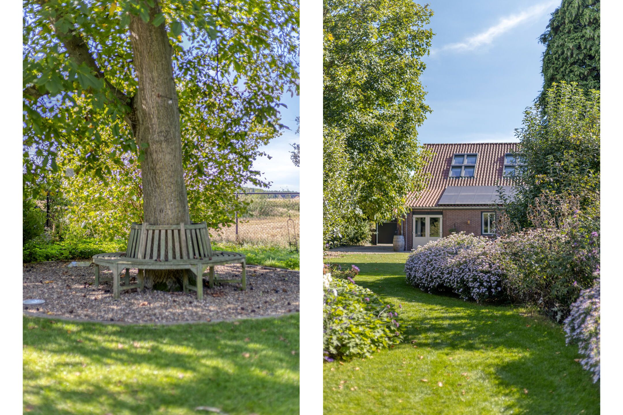 Foto 54 van Dries 19