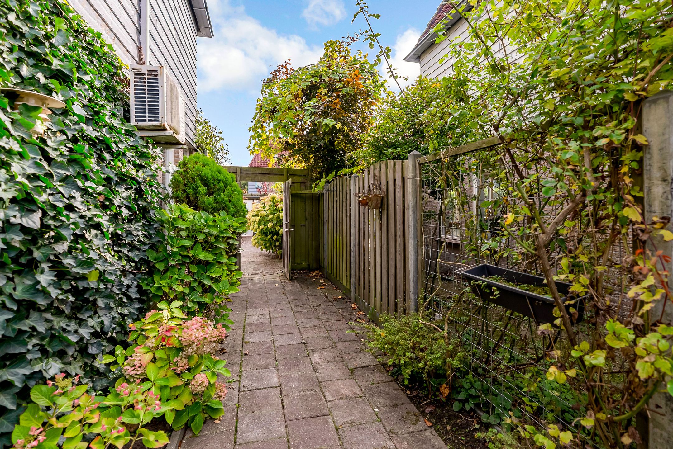 Photo 57 of Maanzaadpad 25