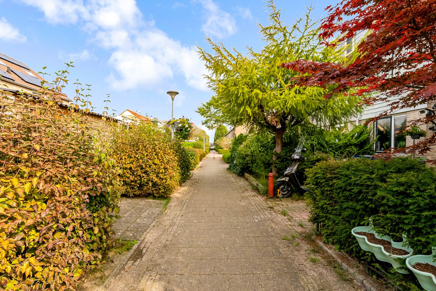 Photo 59 of Maanzaadpad 25