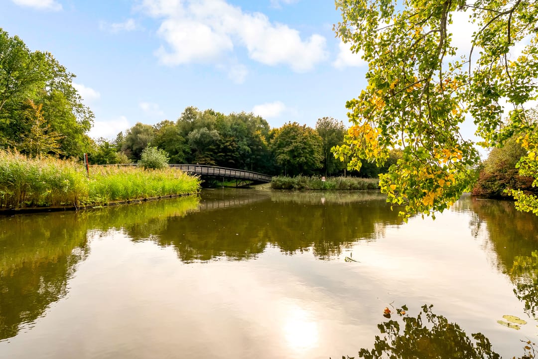 Photo 62 of Maanzaadpad 25