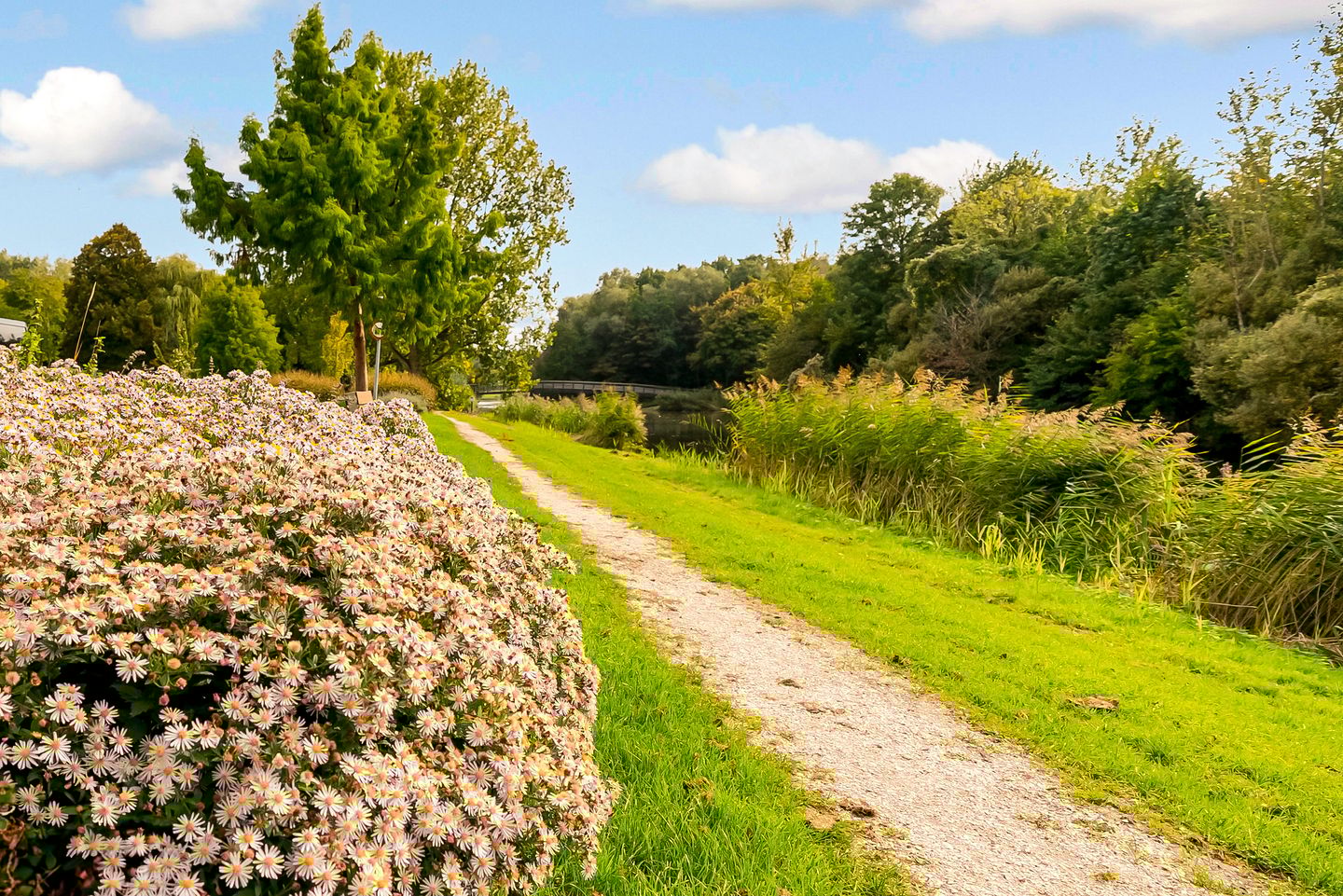 Photo 64 of Maanzaadpad 25