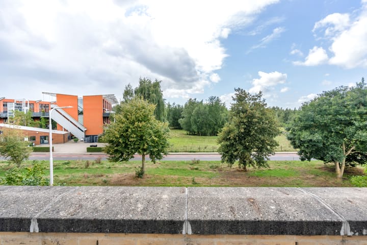 Foto 21 van Bijsterveldenlaan 352