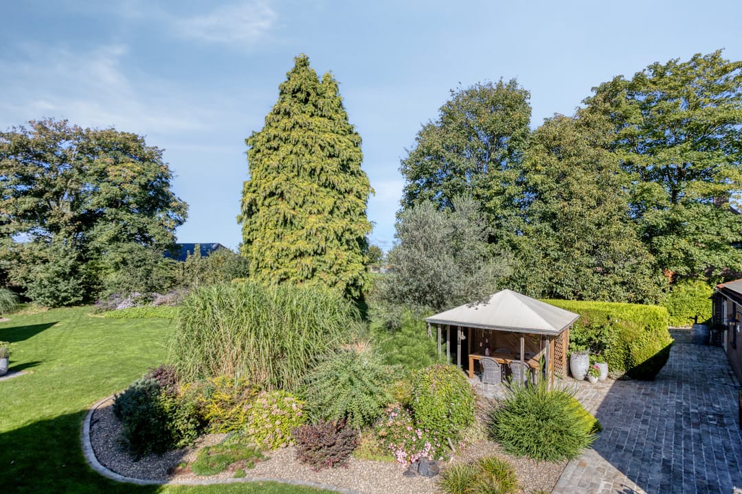 Foto 46 van Dries 19