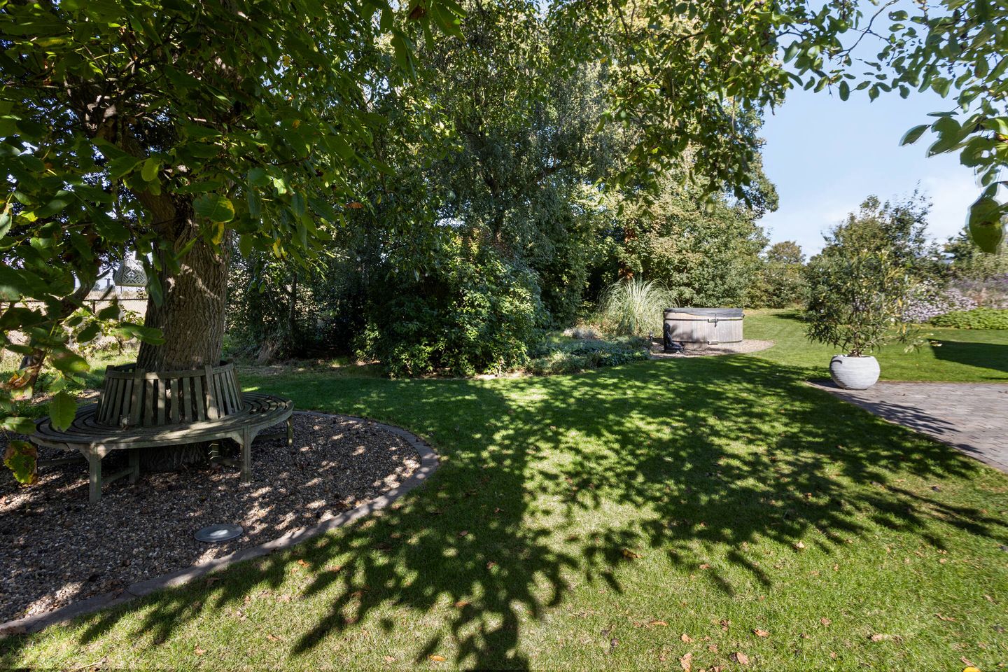 Foto 55 van Dries 19