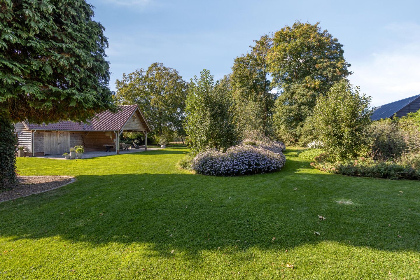 Foto 49 van Dries 19