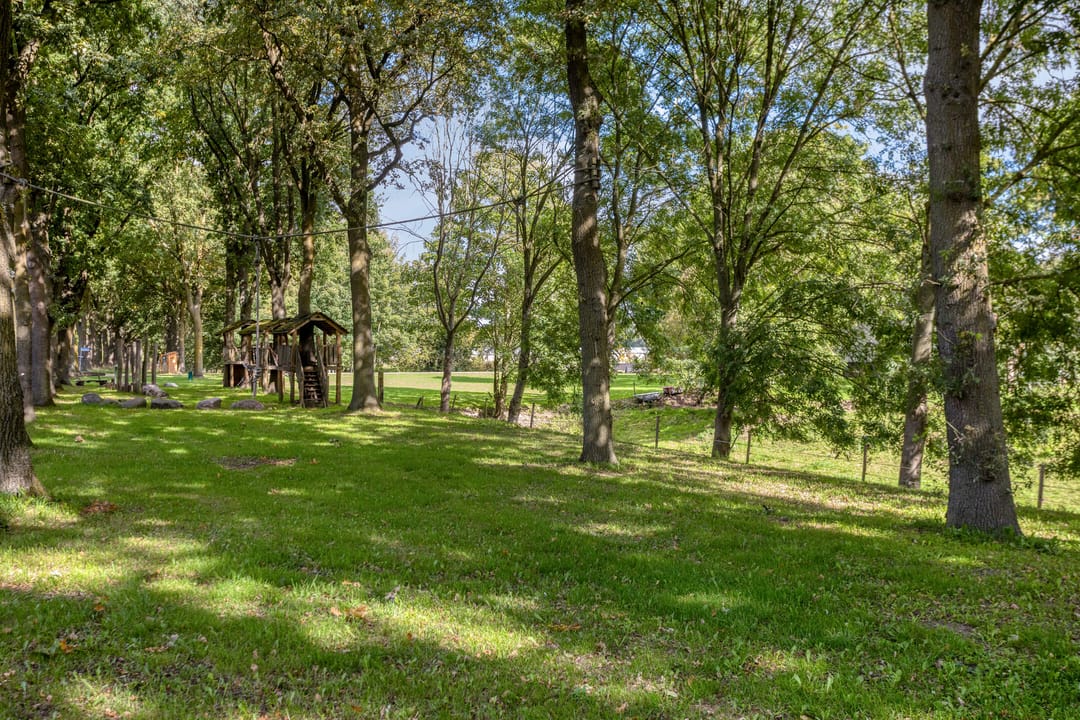 Foto 56 van Dries 19