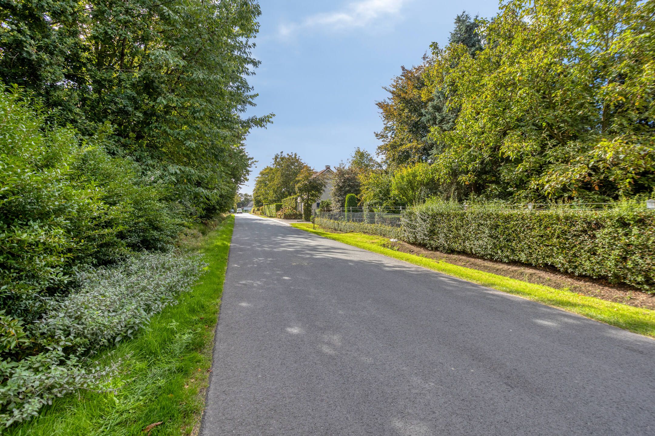 Foto 63 van Dries 19