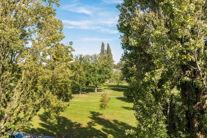 Foto 29 van Paltroklaan 45