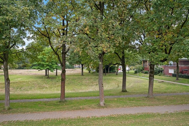 Foto 42 van Holtackers 34