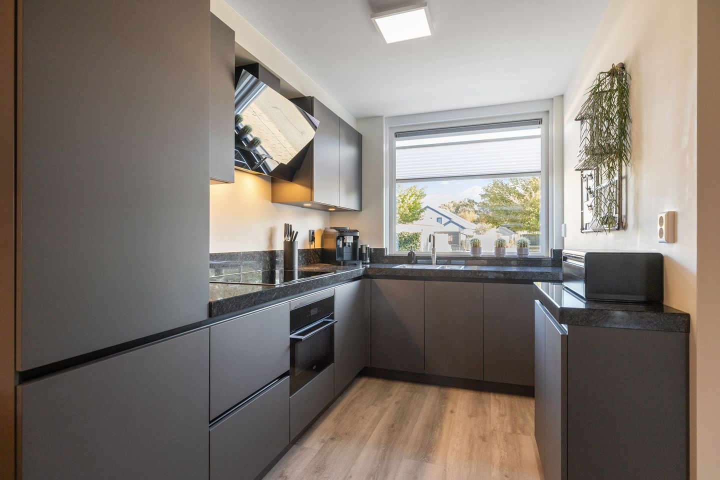 Foto 10 van Wierbalg 1117