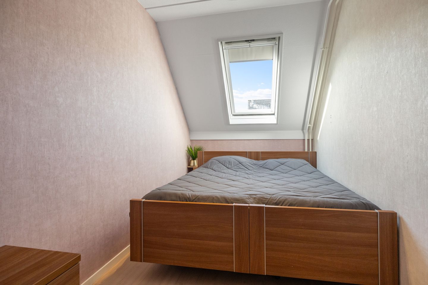 Foto 19 van Wierbalg 1117